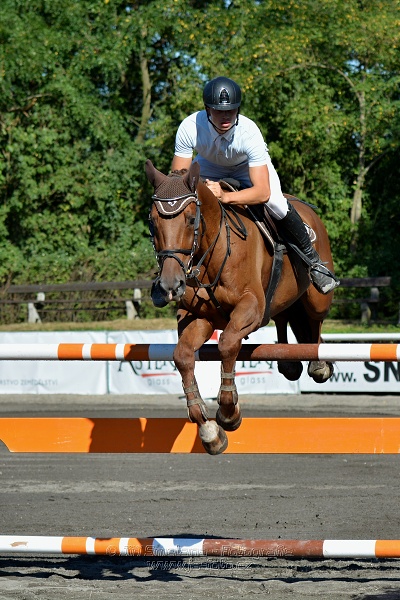 Cena Plzeňského kraje 2016 - Skoková soutěž st. „ST*