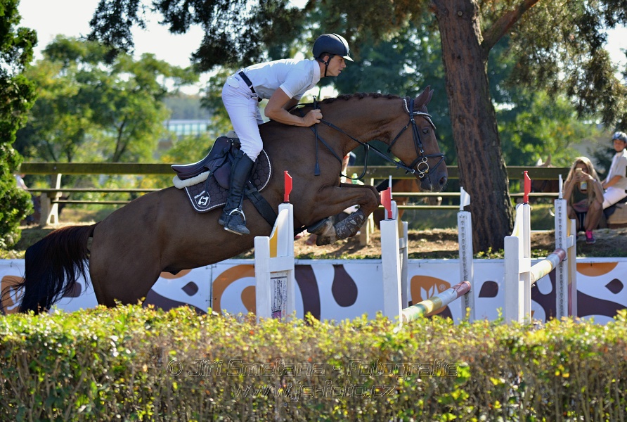 Cena Plzeňského kraje 2016 - Skoková soutěž st. „ST*