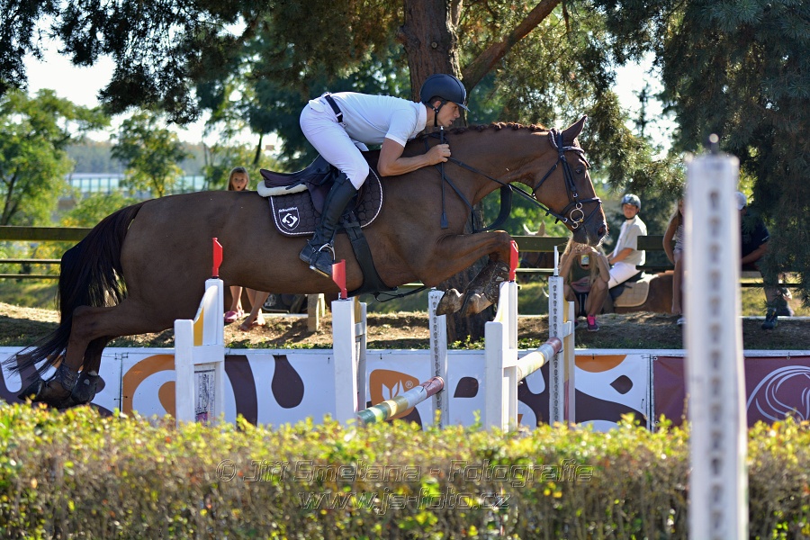 Cena Plzeňského kraje 2016 - Skoková soutěž st. „ST*