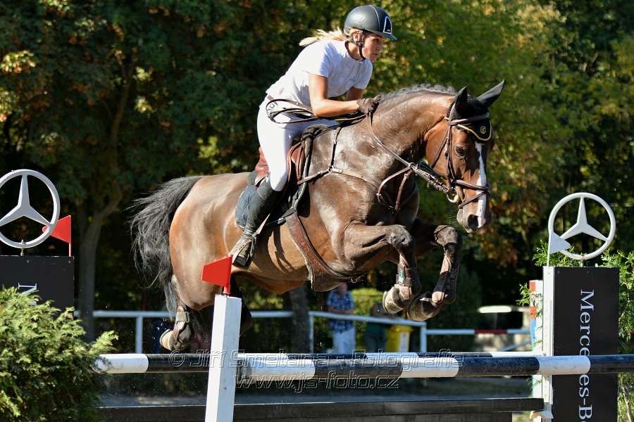 Cena Plzeňského kraje 2016 - Skoková soutěž st. „ST*