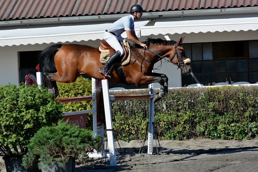 Cena Plzeňského kraje 2016 - Skoková soutěž st. „ST*