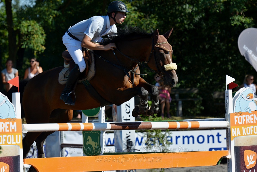 Cena Plzeňského kraje 2016 - Skoková soutěž st. „ST*