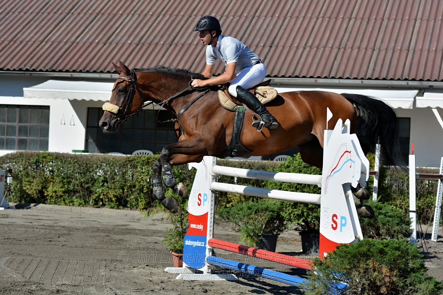 Cena Plzeňského kraje 2016 - Skoková soutěž st. „ST*