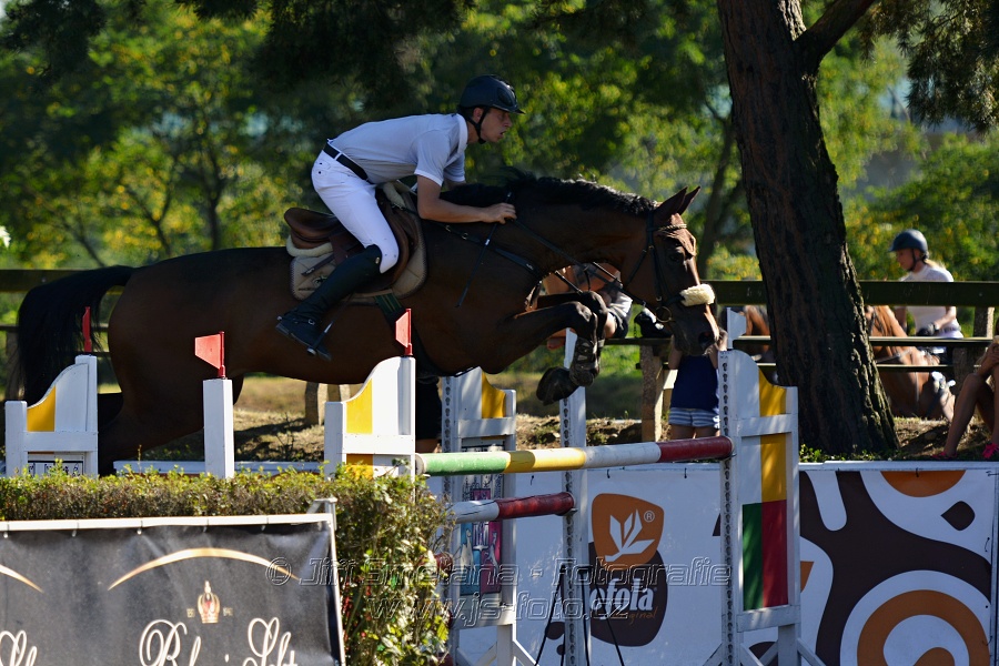 Cena Plzeňského kraje 2016 - Skoková soutěž st. „ST*