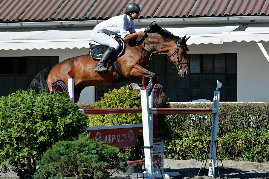 Cena Plzeňského kraje 2016 - Skoková soutěž st. „ST*