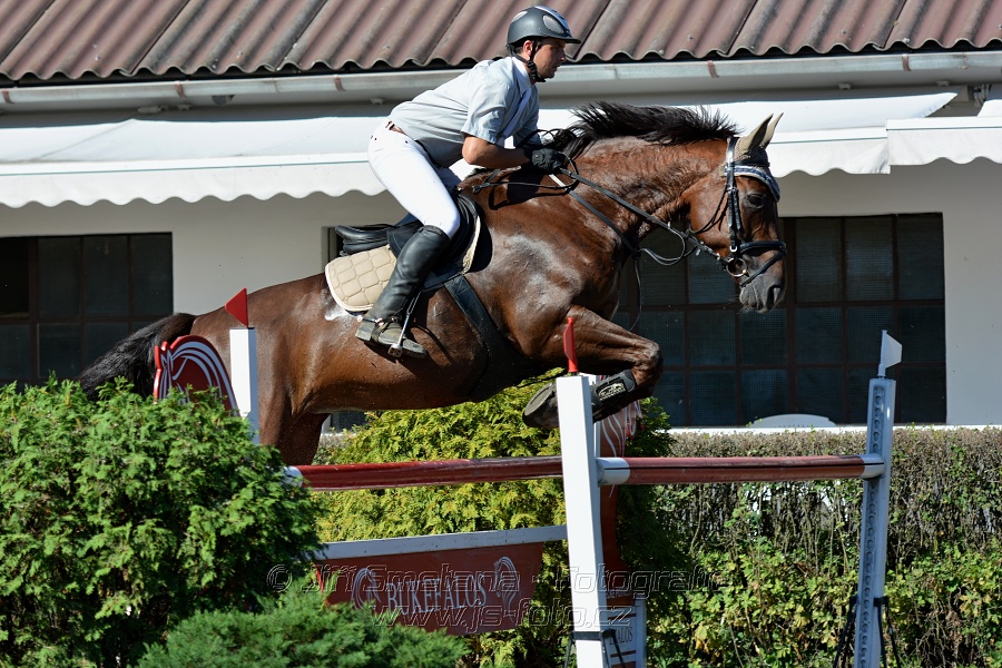 Cena Plzeňského kraje 2016 - Skoková soutěž st. „ST*