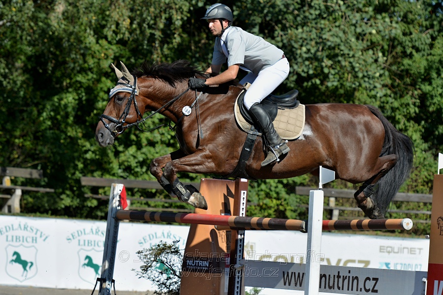 Cena Plzeňského kraje 2016 - Skoková soutěž st. „ST*