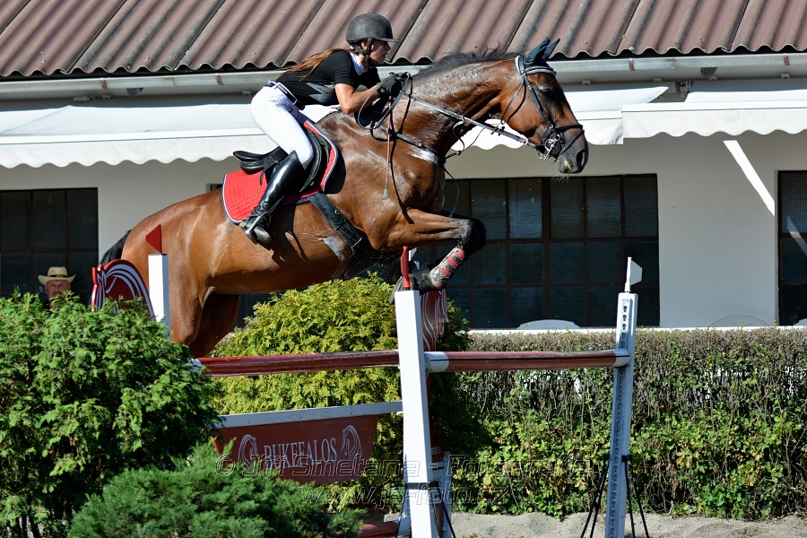 Cena Plzeňského kraje 2016 - Skoková soutěž st. „ST*