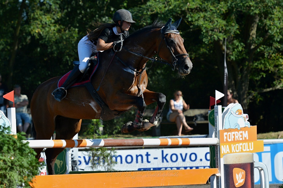 Cena Plzeňského kraje 2016 - Skoková soutěž st. „ST*