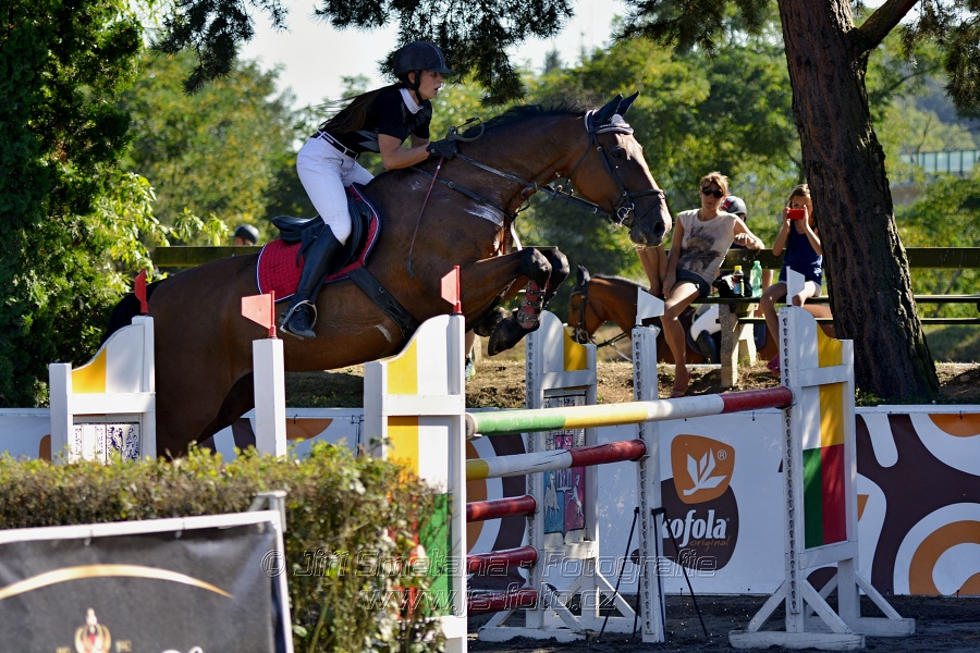 Cena Plzeňského kraje 2016 - Skoková soutěž st. „ST*