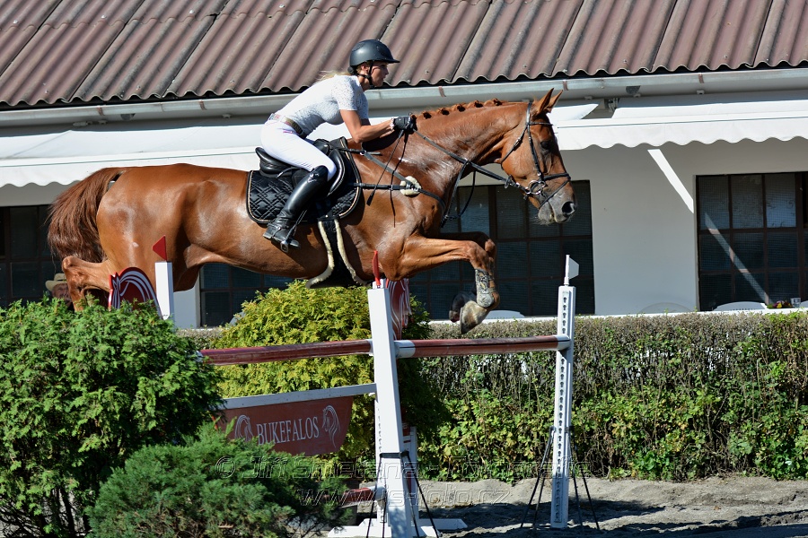 Cena Plzeňského kraje 2016 - Skoková soutěž st. „ST*