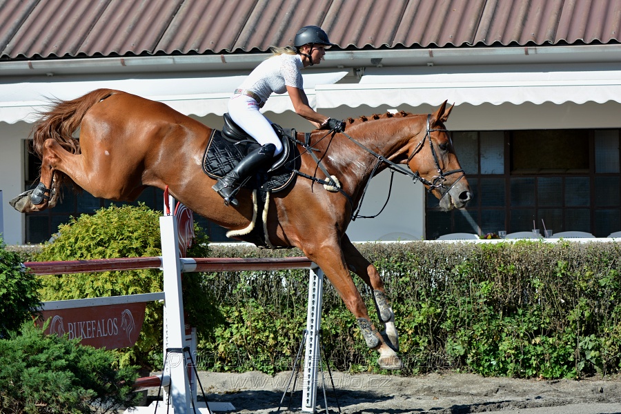 Cena Plzeňského kraje 2016 - Skoková soutěž st. „ST*