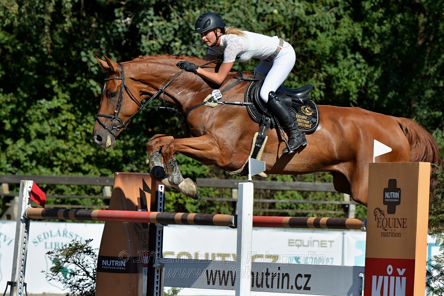Cena Plzeňského kraje 2016 - Skoková soutěž st. „ST*