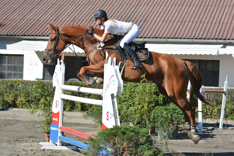 Cena Plzeňského kraje 2016 - Skoková soutěž st. „ST*