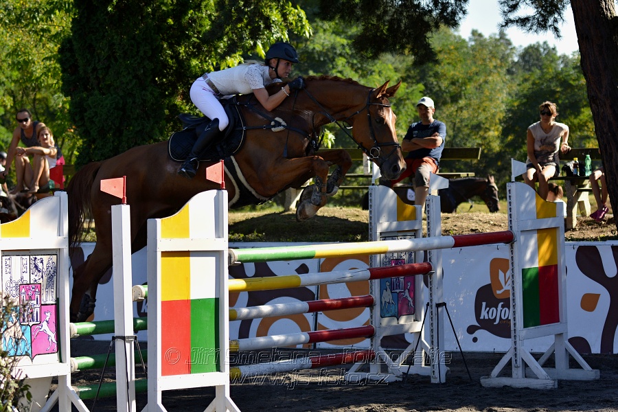 Cena Plzeňského kraje 2016 - Skoková soutěž st. „ST*