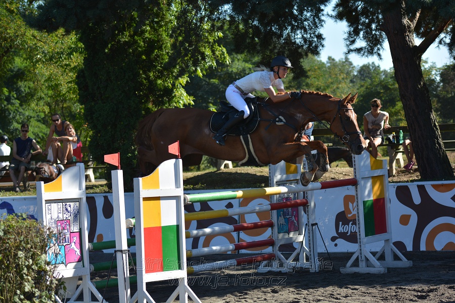Cena Plzeňského kraje 2016 - Skoková soutěž st. „ST*