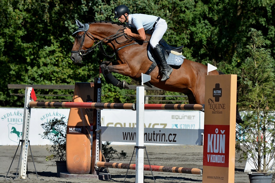 Cena Plzeňského kraje 2016 - Skoková soutěž st. „ST*