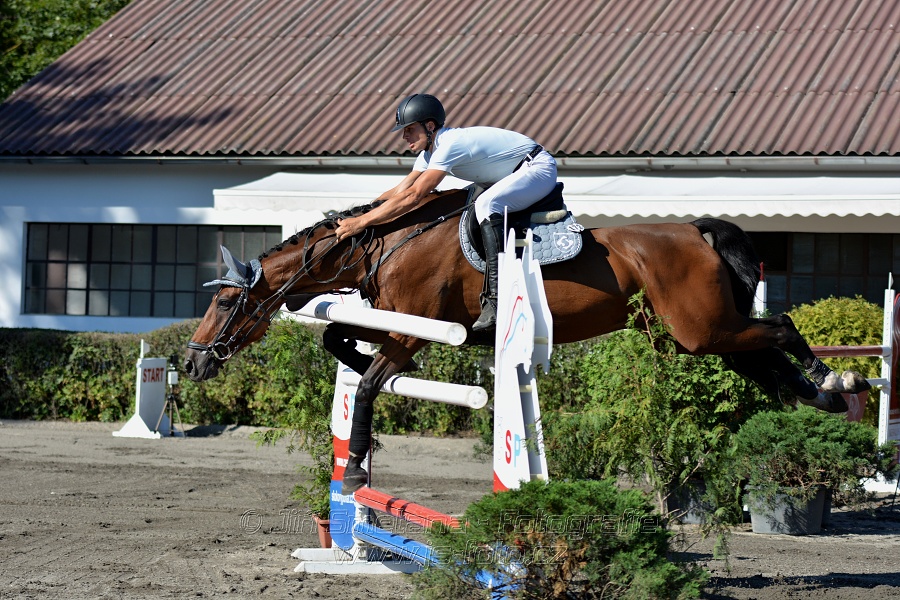 Cena Plzeňského kraje 2016 - Skoková soutěž st. „ST*