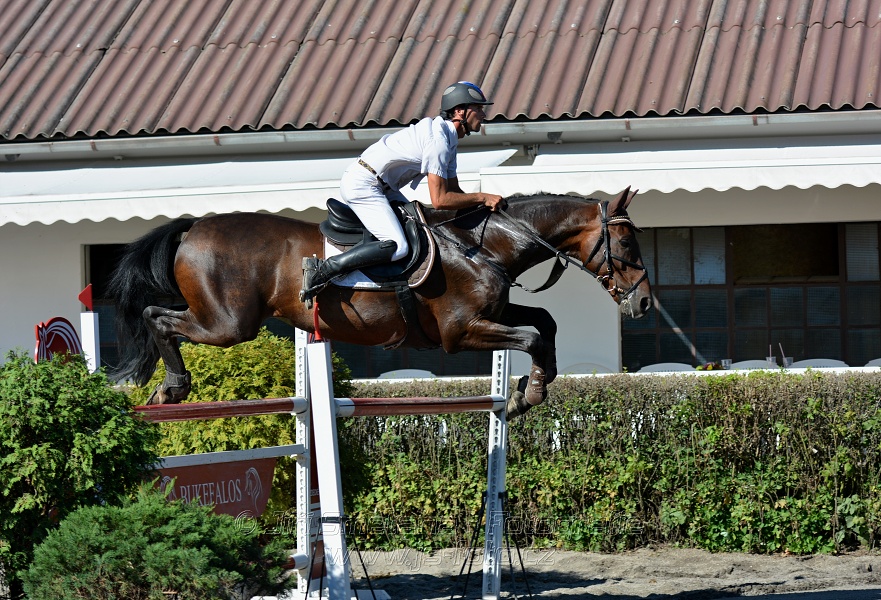Cena Plzeňského kraje 2016 - Skoková soutěž st. „ST*