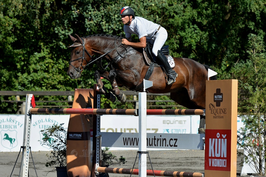 Cena Plzeňského kraje 2016 - Skoková soutěž st. „ST*