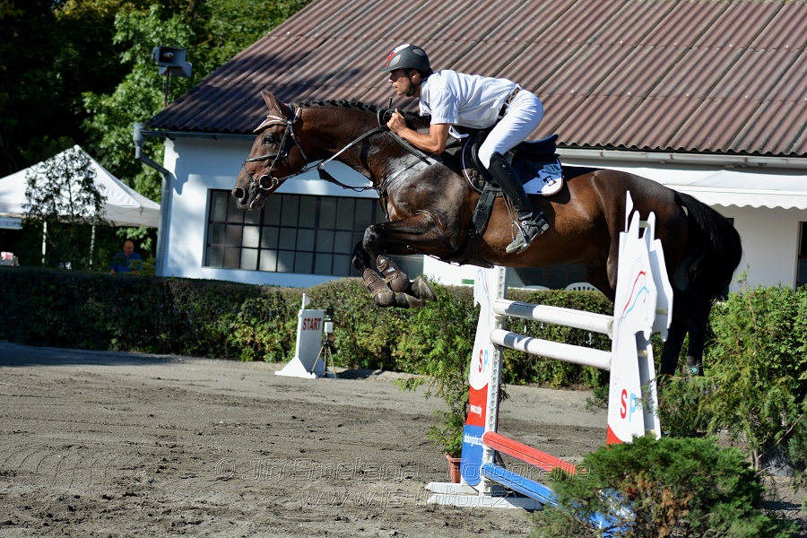 Cena Plzeňského kraje 2016 - Skoková soutěž st. „ST*