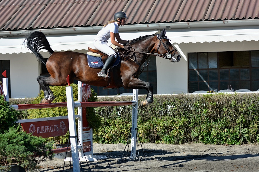 Cena Plzeňského kraje 2016 - Skoková soutěž st. „ST*
