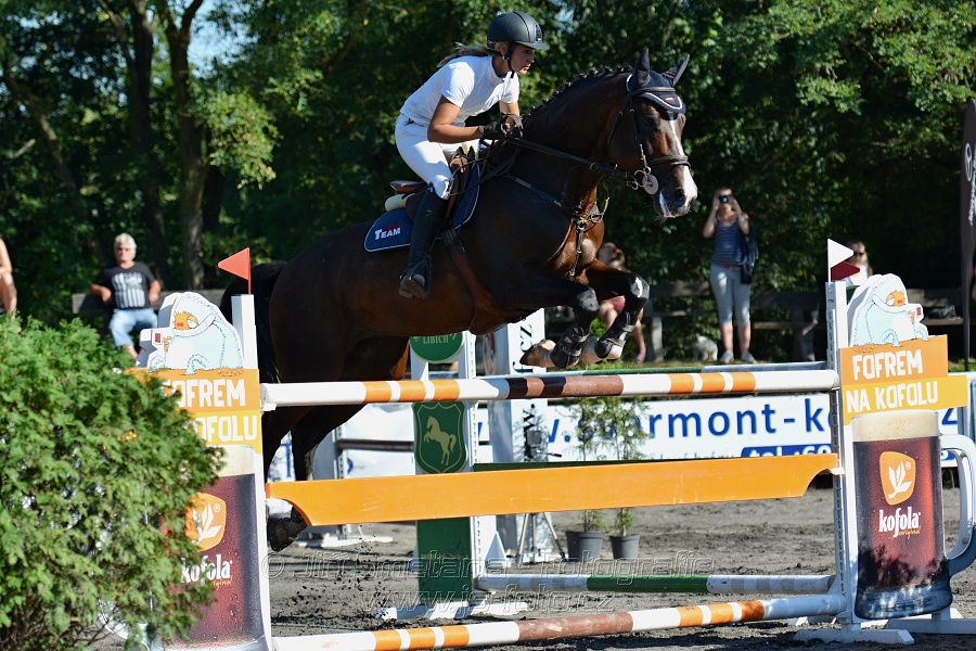 Cena Plzeňského kraje 2016 - Skoková soutěž st. „ST*