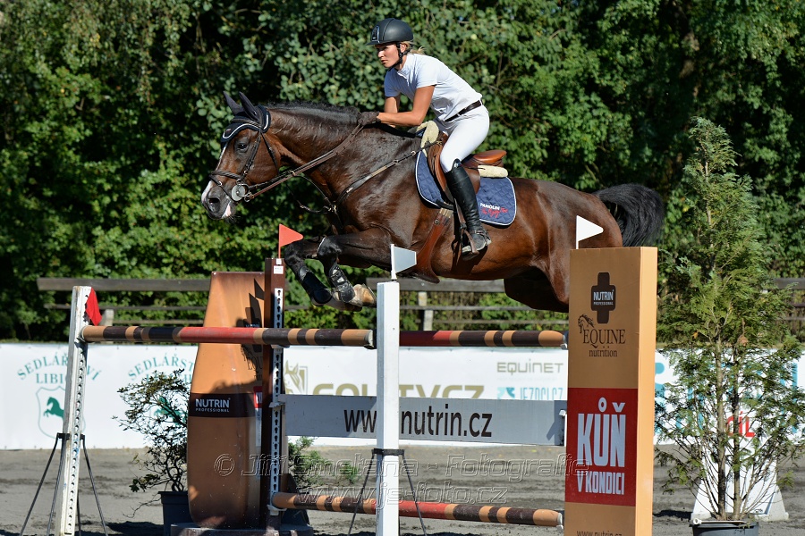 Cena Plzeňského kraje 2016 - Skoková soutěž st. „ST*