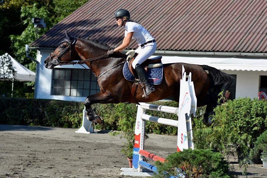 Cena Plzeňského kraje 2016 - Skoková soutěž st. „ST*