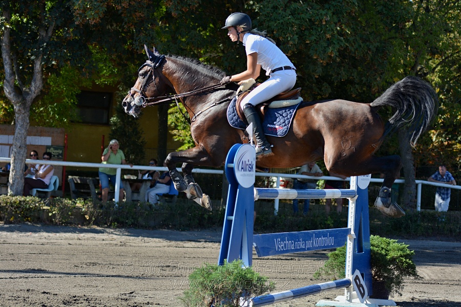 Cena Plzeňského kraje 2016 - Skoková soutěž st. „ST*