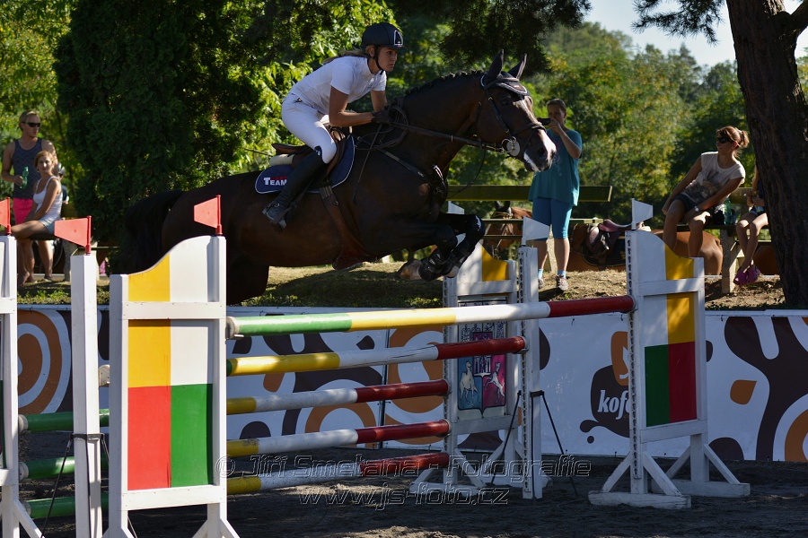 Cena Plzeňského kraje 2016 - Skoková soutěž st. „ST*