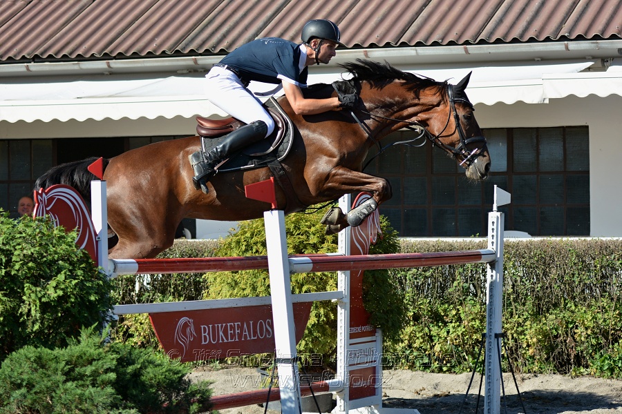 Cena Plzeňského kraje 2016 - Skoková soutěž st. „ST*