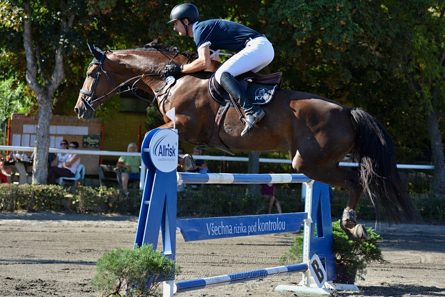Cena Plzeňského kraje 2016 - Skoková soutěž st. „ST*