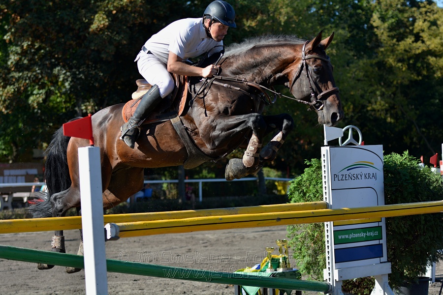 Cena Plzeňského kraje 2016 - Skoková soutěž st. „ST*
