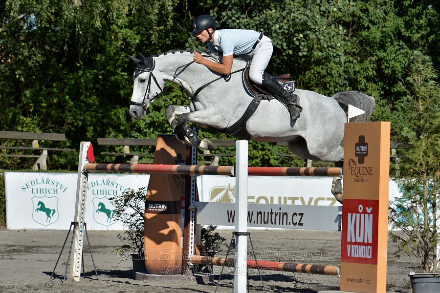 Cena Plzeňského kraje 2016 - Skoková soutěž st. „ST*