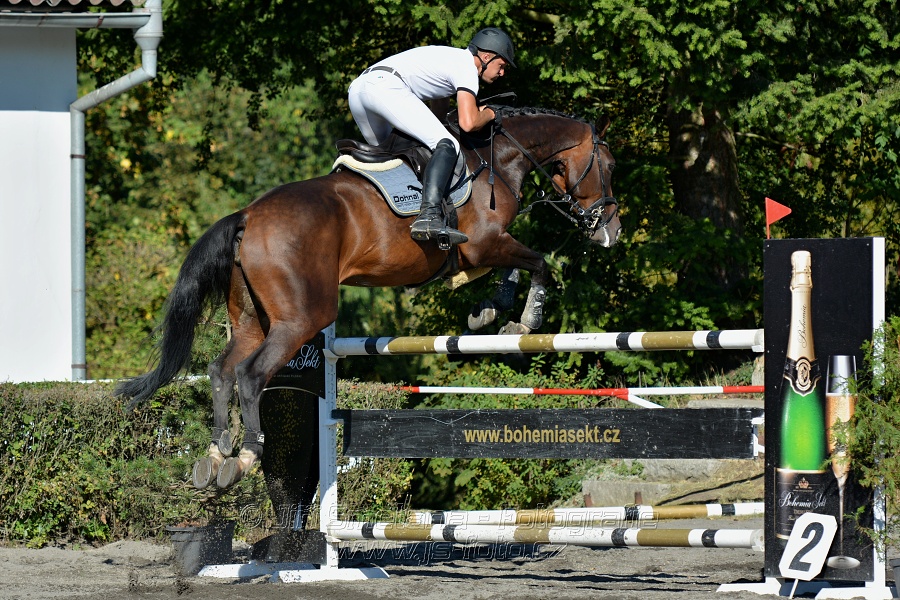 Cena Plzeňského kraje 2016 - Skoková soutěž st. „ST*
