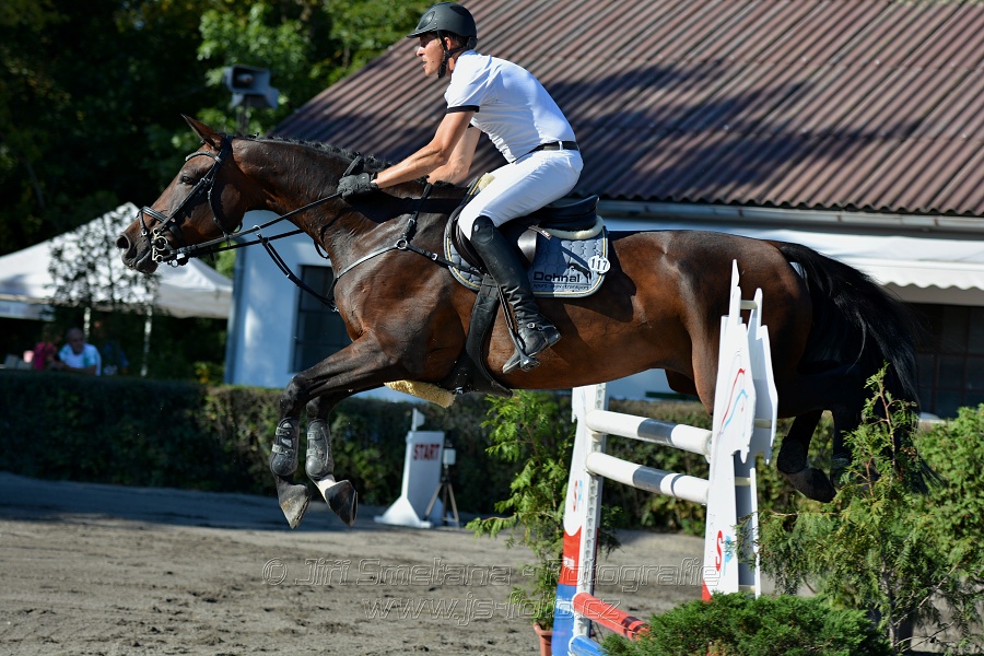 Cena Plzeňského kraje 2016 - Skoková soutěž st. „ST*