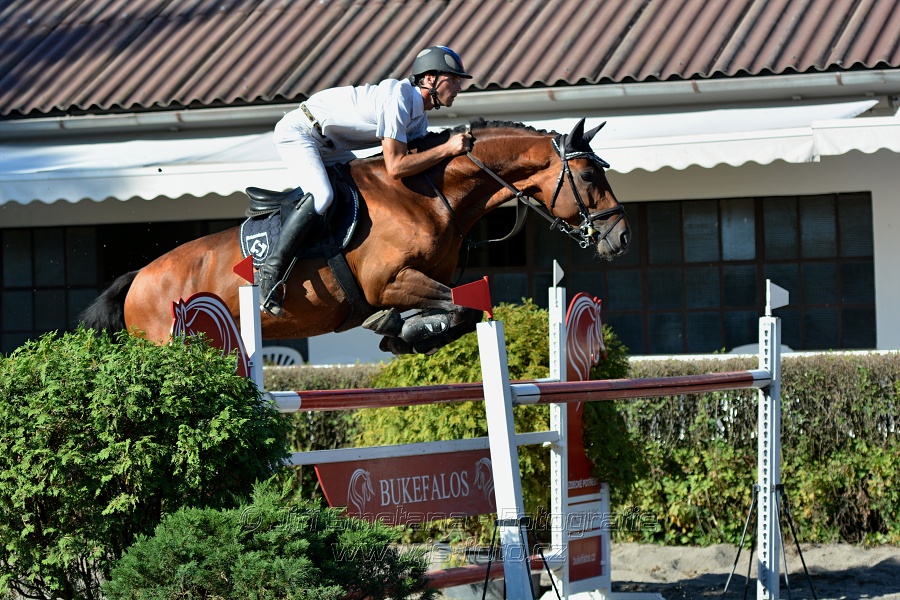 Cena Plzeňského kraje 2016 - Skoková soutěž st. „ST*