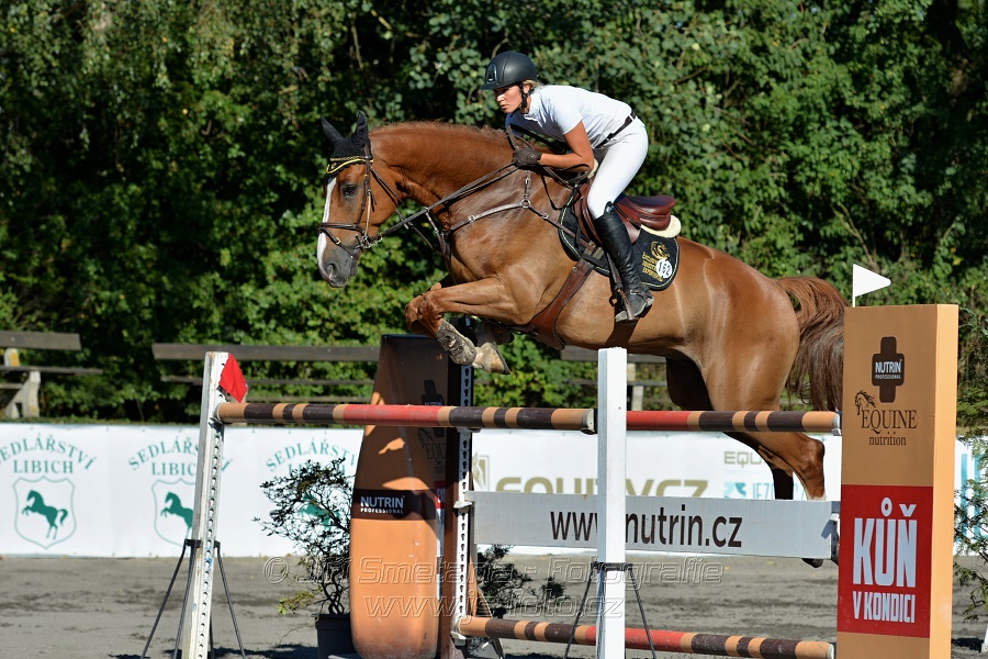 Cena Plzeňského kraje 2016 - Skoková soutěž st. „ST*