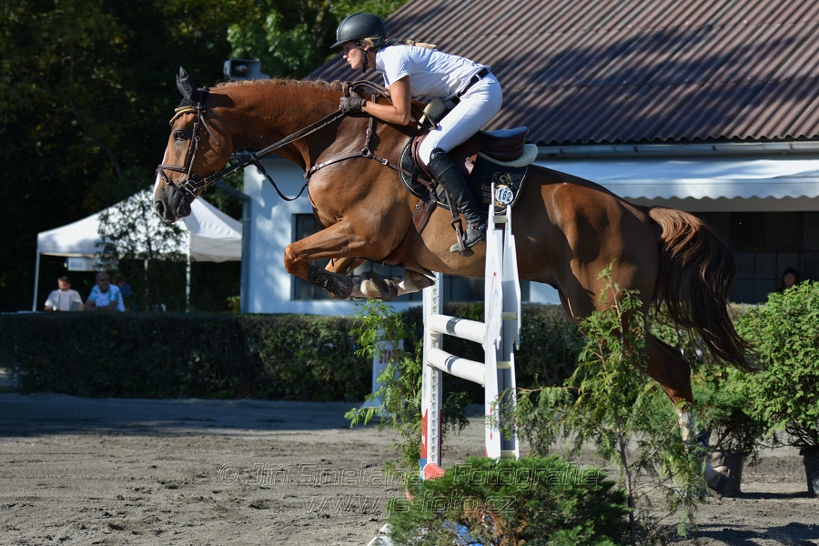 Cena Plzeňského kraje 2016 - Skoková soutěž st. „ST*