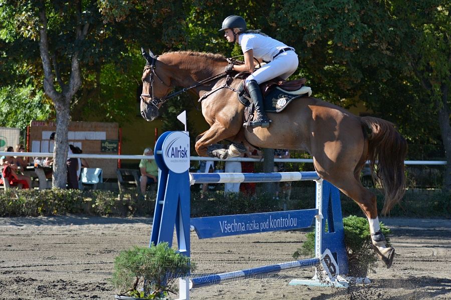 Cena Plzeňského kraje 2016 - Skoková soutěž st. „ST*