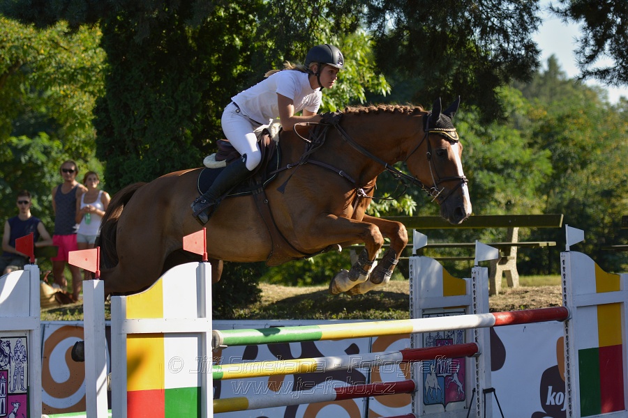 Cena Plzeňského kraje 2016 - Skoková soutěž st. „ST*