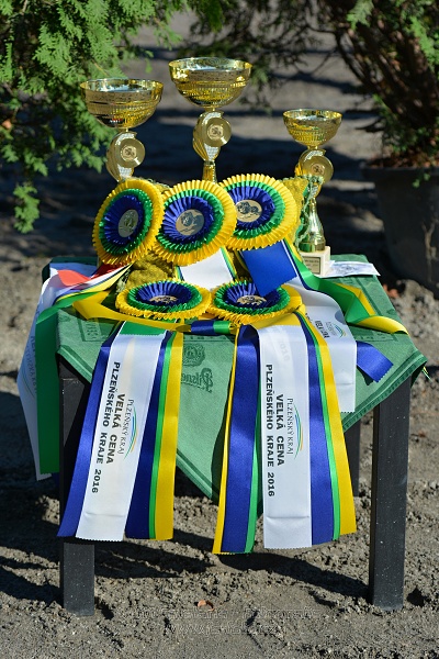 Cena Plzeňského kraje 2016 - Skoková soutěž st. „ST*