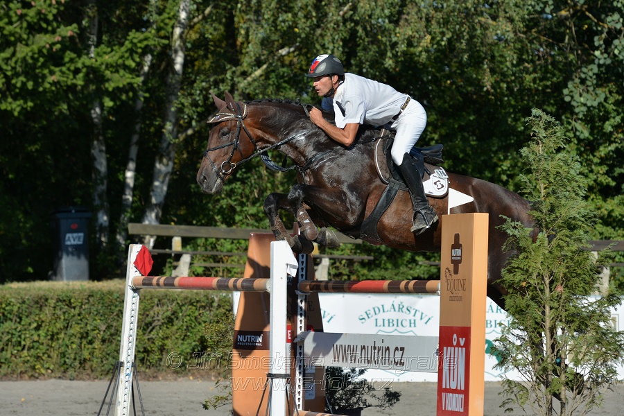 Cena Plzeňského kraje 2016 - Skoková soutěž st. „ST*