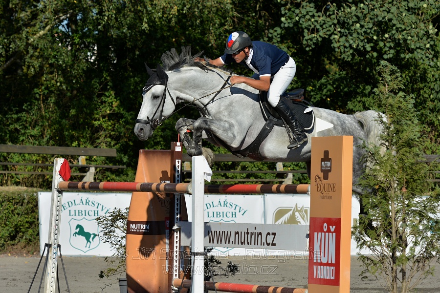 Cena Plzeňského kraje 2016 - Skoková soutěž st. „ST*