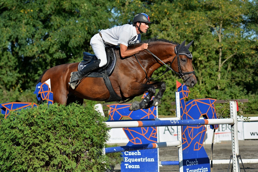 Cena Plzeňského kraje 2016 - Skoková soutěž st. „ST*