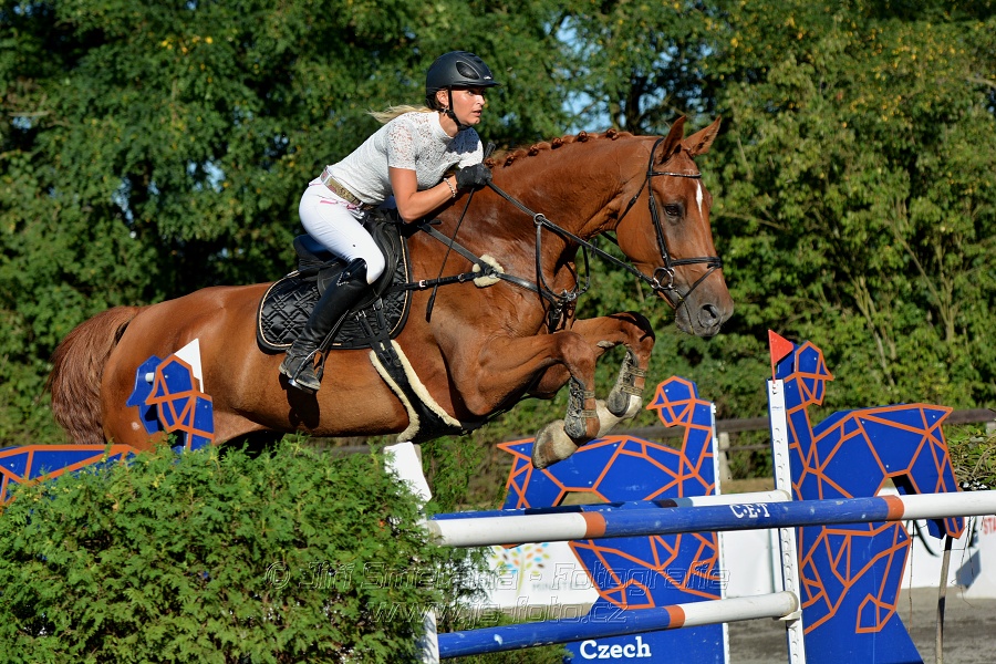 Cena Plzeňského kraje 2016 - Skoková soutěž st. „ST*