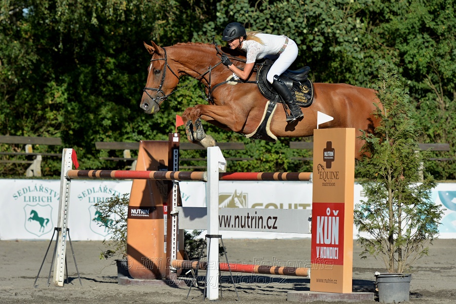 Cena Plzeňského kraje 2016 - Skoková soutěž st. „ST*