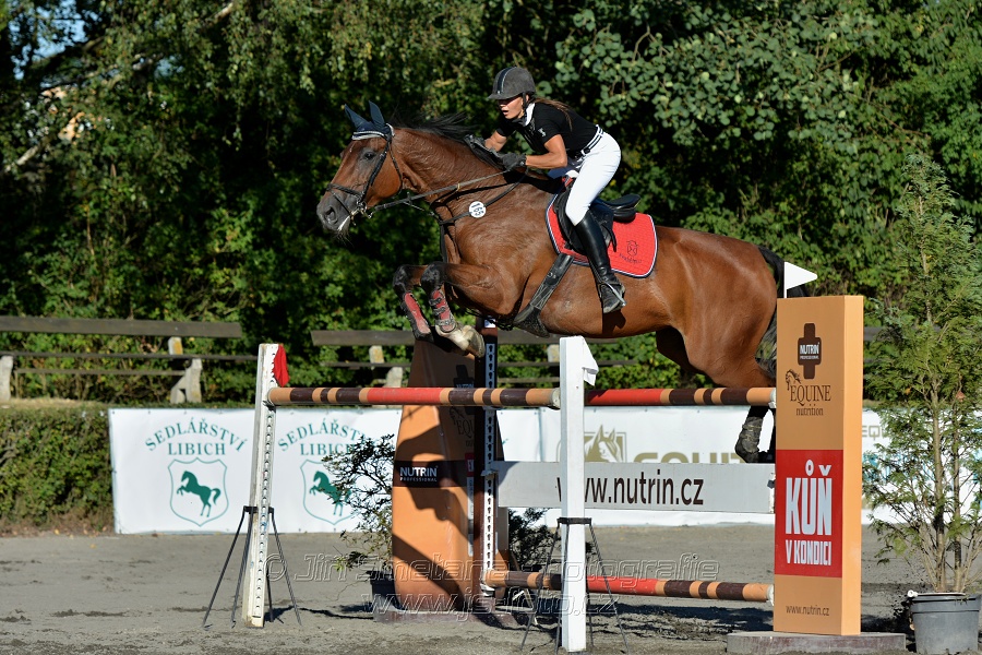 Cena Plzeňského kraje 2016 - Skoková soutěž st. „ST*