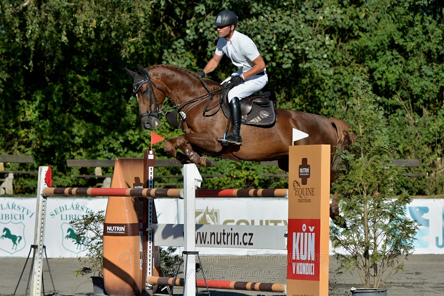 Cena Plzeňského kraje 2016 - Skoková soutěž st. „ST*